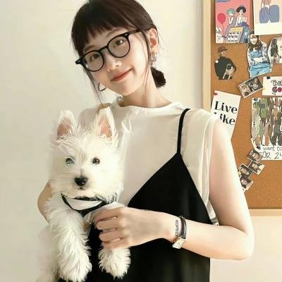 白鹭谣